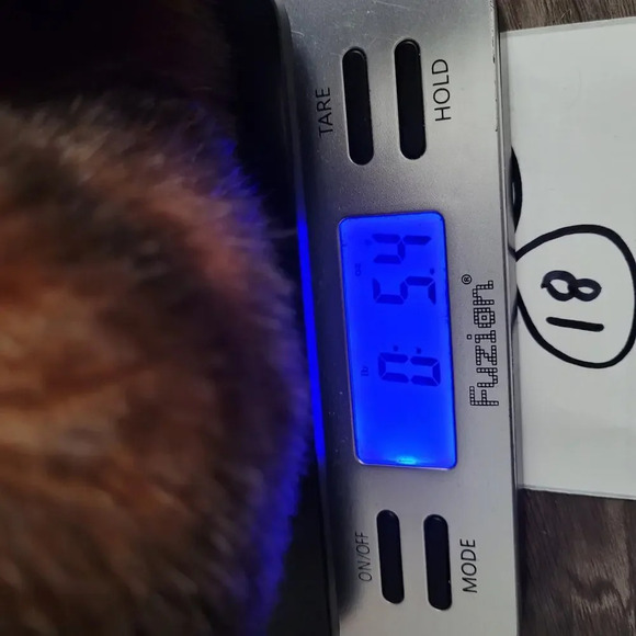 Folkmanis Monkey Hand Puppet Plush Brown Full Body Folktails Chimpanzee Toy Play - Picture 11 of 11